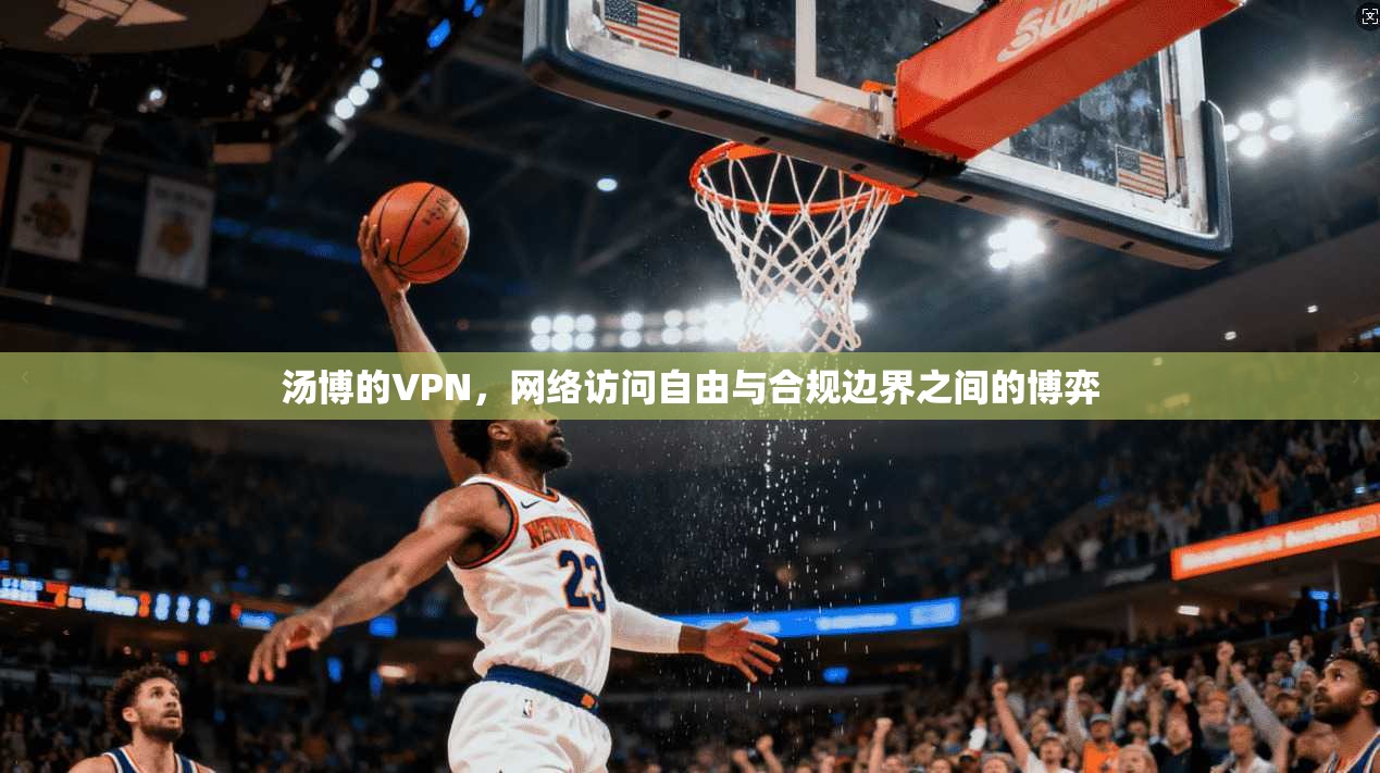 汤博的VPN，网络访问自由与合规边界之间的博弈