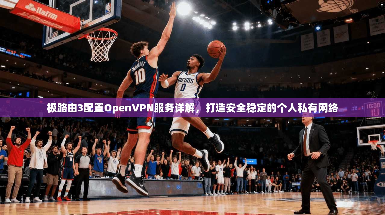 极路由3配置OpenVPN服务详解，打造安全稳定的个人私有网络