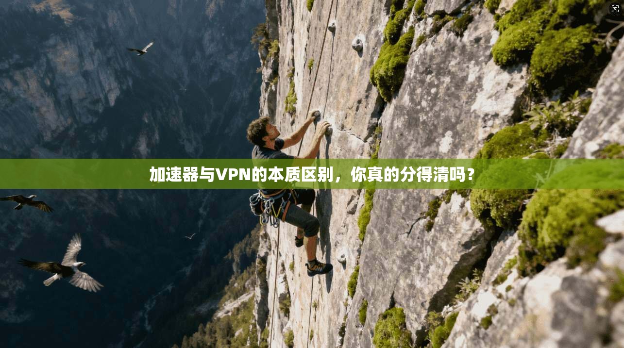 加速器与VPN的本质区别，你真的分得清吗？