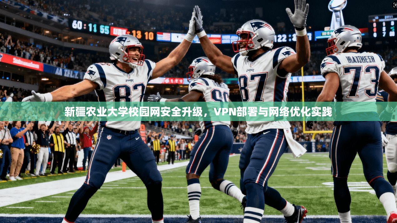 新疆农业大学校园网安全升级，VPN部署与网络优化实践