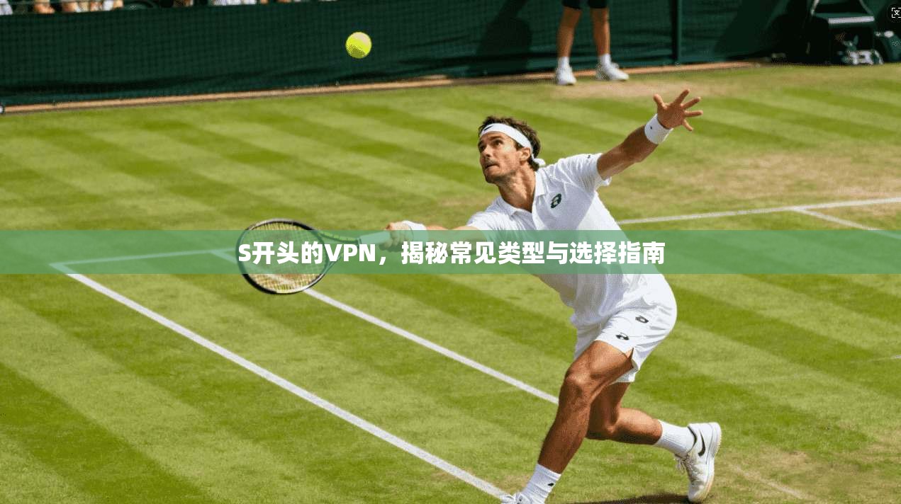 S开头的VPN，揭秘常见类型与选择指南