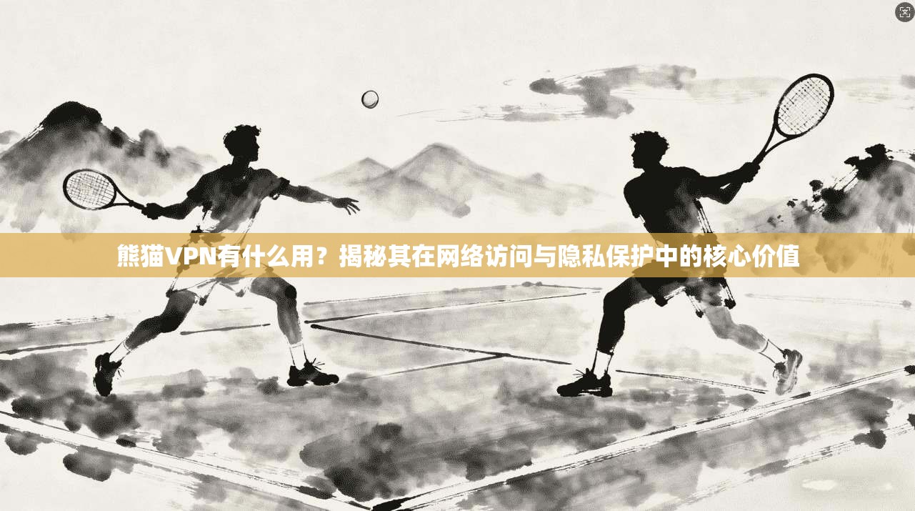 熊猫VPN有什么用？揭秘其在网络访问与隐私保护中的核心价值