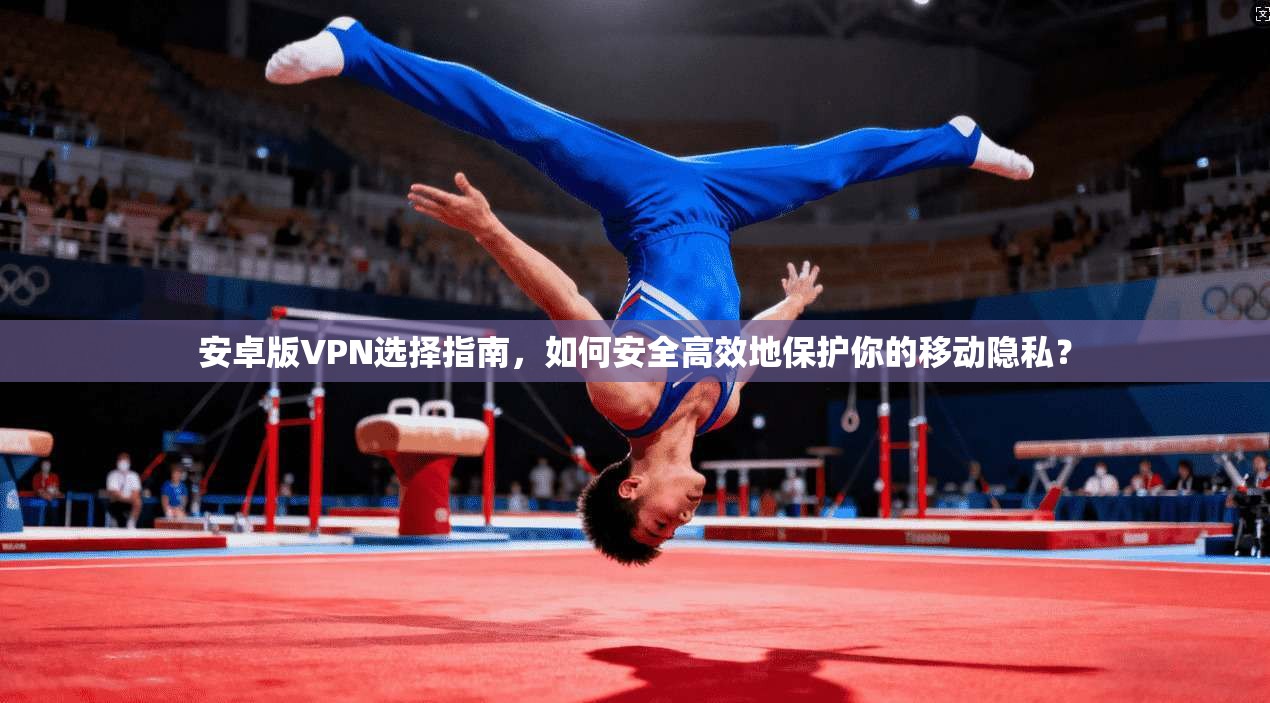 安卓版VPN选择指南，如何安全高效地保护你的移动隐私？