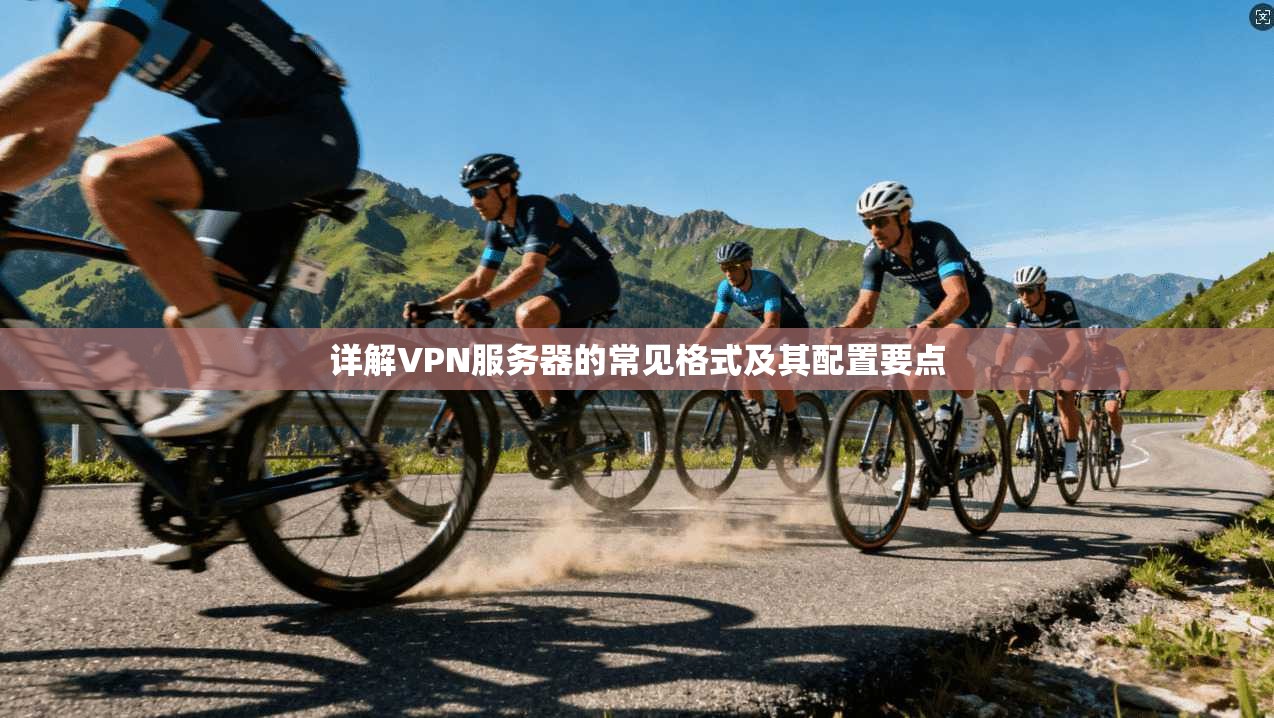详解VPN服务器的常见格式及其配置要点