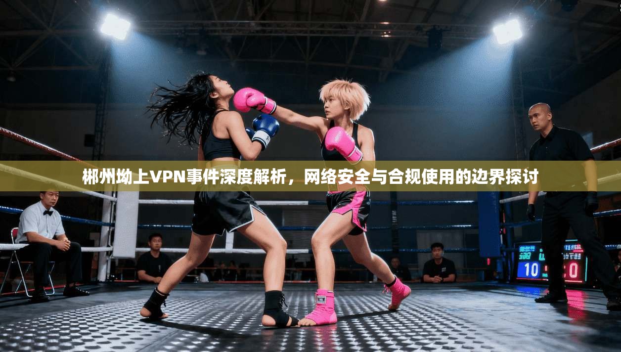 郴州坳上VPN事件深度解析，网络安全与合规使用的边界探讨