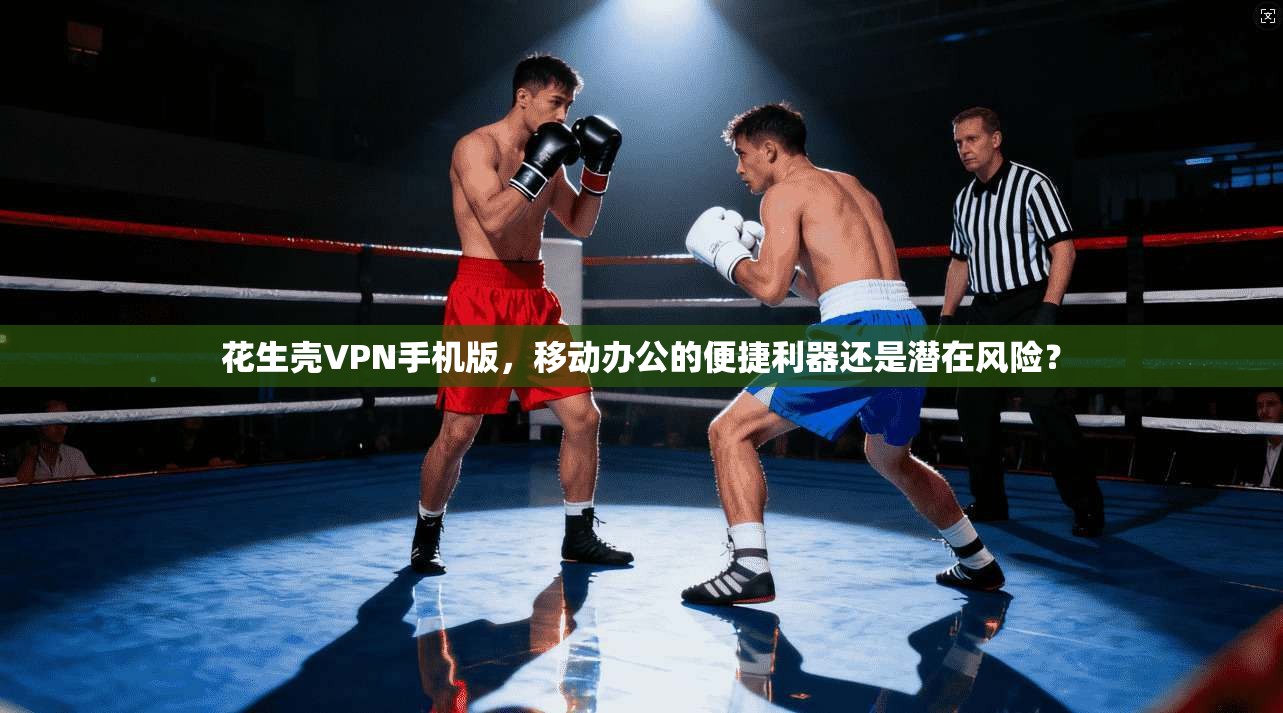 花生壳VPN手机版，移动办公的便捷利器还是潜在风险？
