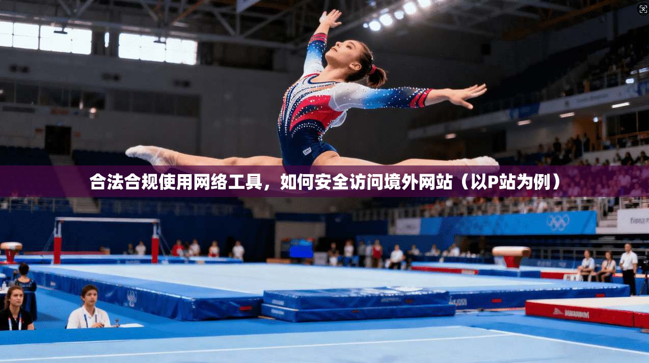 合法合规使用网络工具，如何安全访问境外网站（以P站为例）