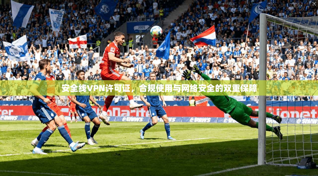 安全线VPN许可证，合规使用与网络安全的双重保障