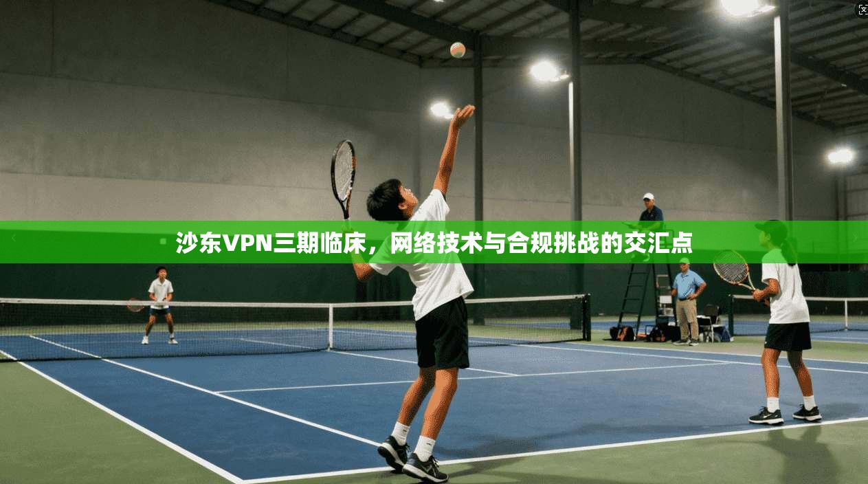 沙东VPN三期临床，网络技术与合规挑战的交汇点
