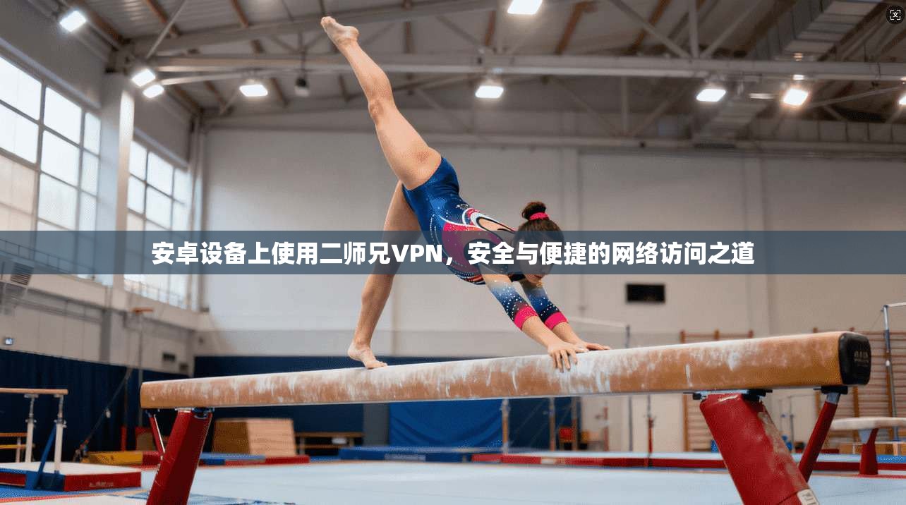 安卓设备上使用二师兄VPN，安全与便捷的网络访问之道