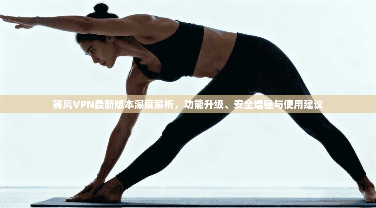 赛风VPN最新版本深度解析，功能升级、安全增强与使用建议