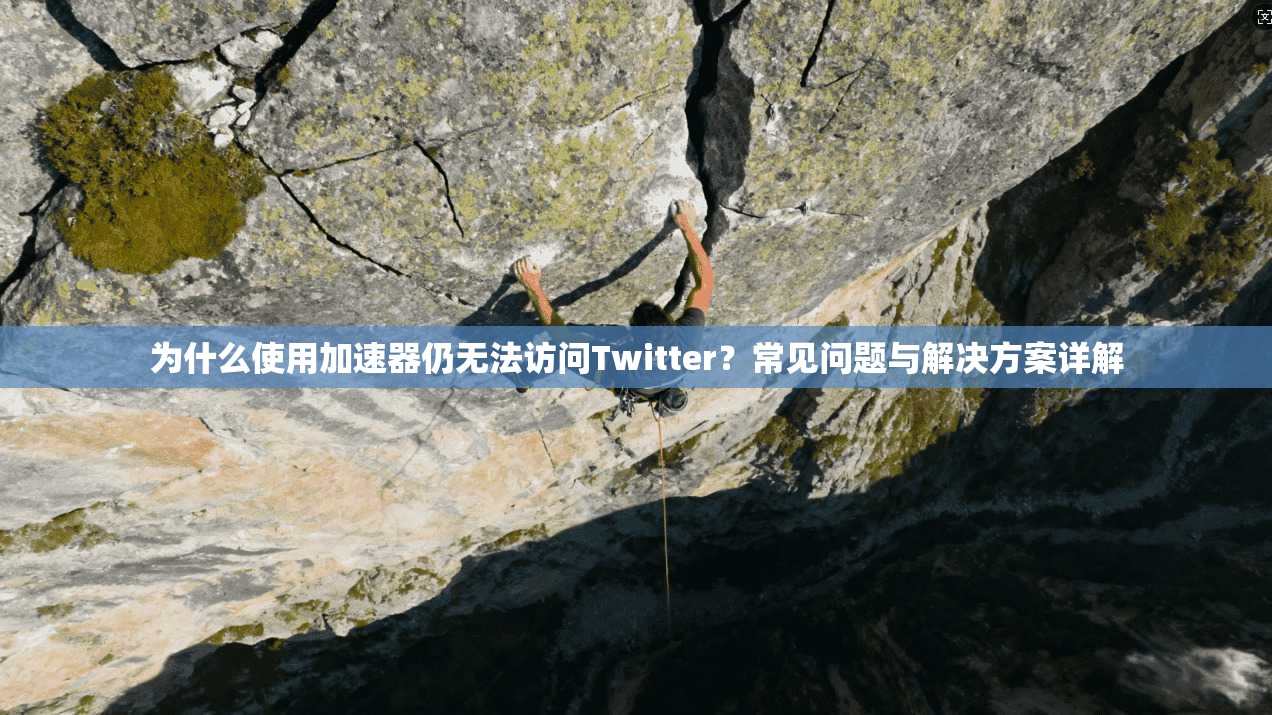 为什么使用加速器仍无法访问Twitter？常见问题与解决方案详解