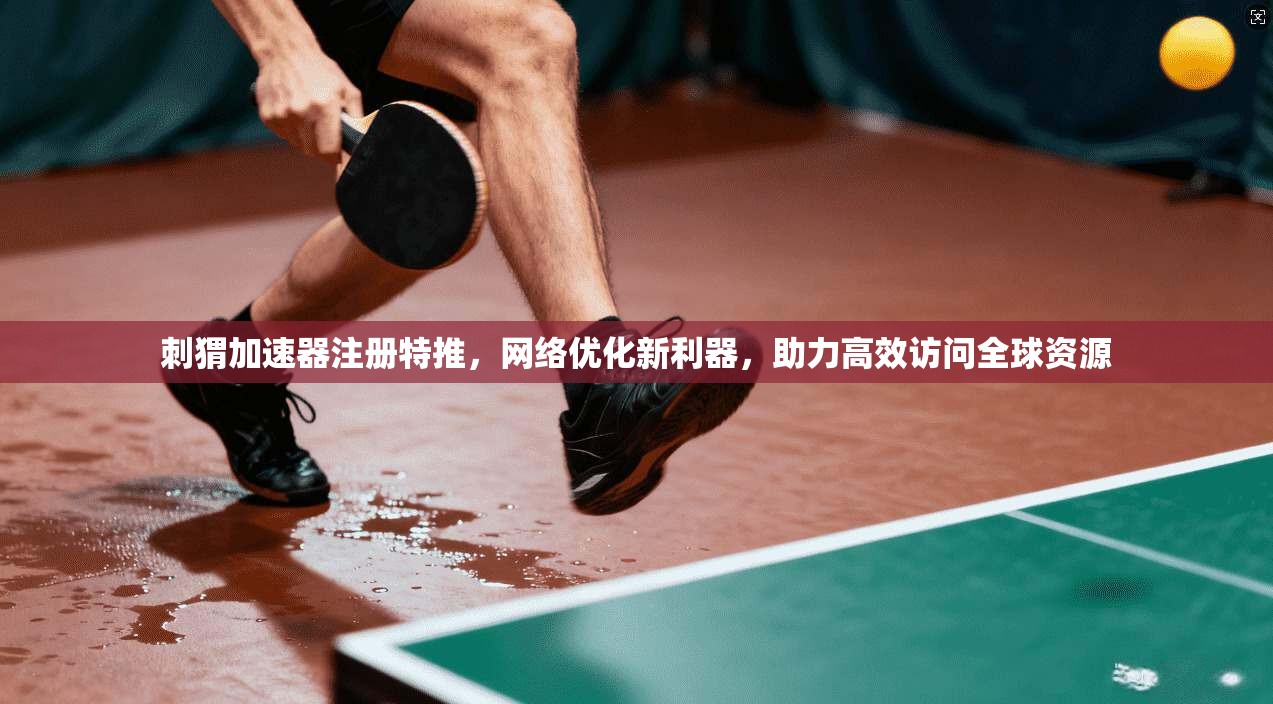 刺猬加速器注册特推，网络优化新利器，助力高效访问全球资源