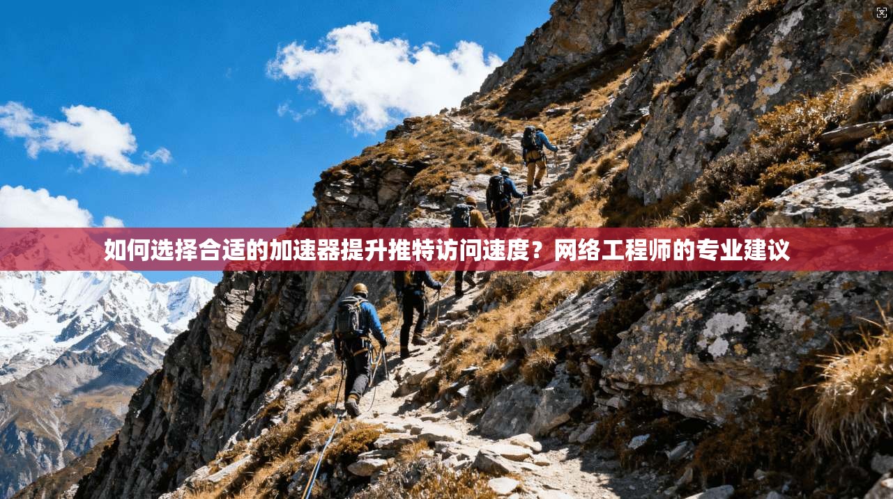 如何选择合适的加速器提升推特访问速度？网络工程师的专业建议