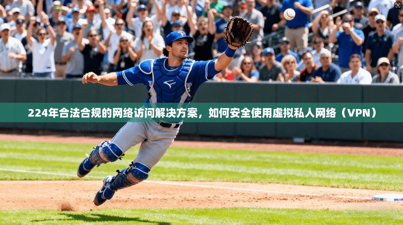 224年合法合规的网络访问解决方案，如何安全使用虚拟私人网络（VPN）