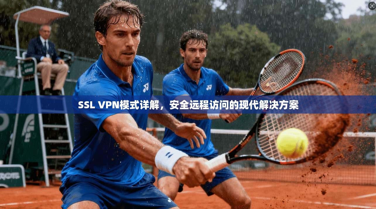 SSL VPN模式详解，安全远程访问的现代解决方案