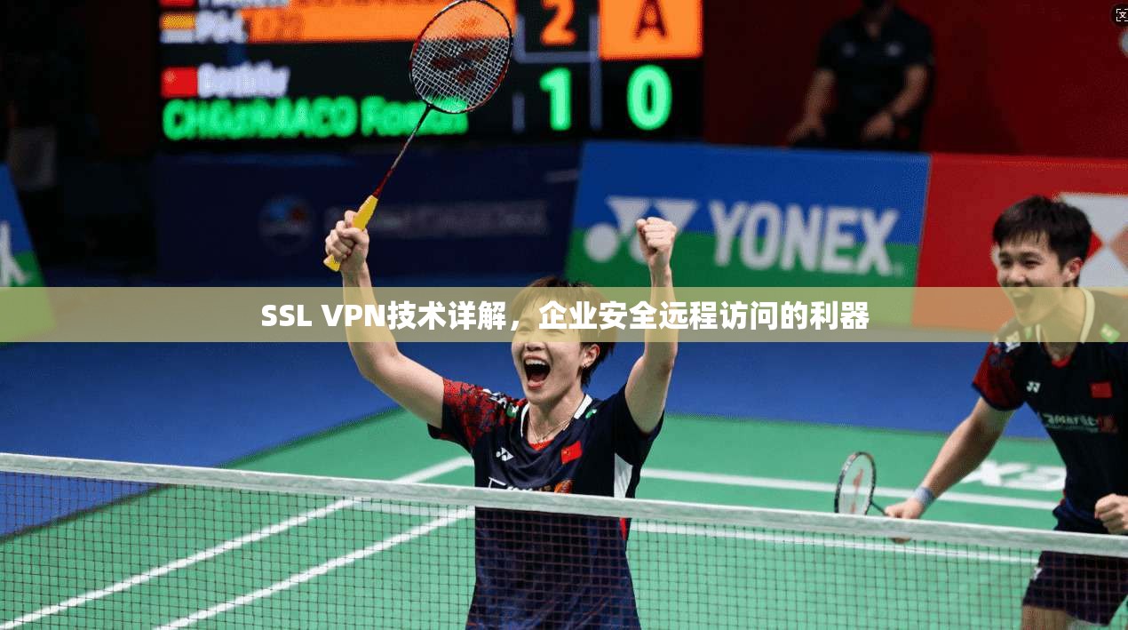 SSL VPN技术详解，企业安全远程访问的利器