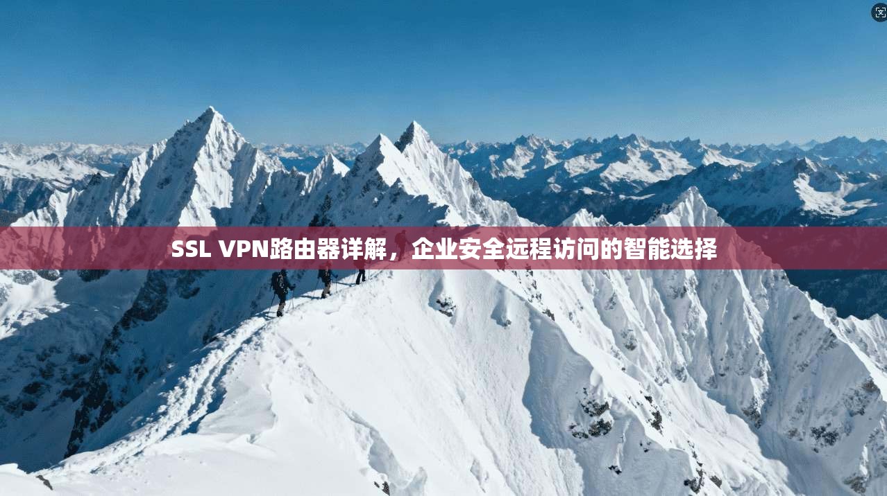 SSL VPN路由器详解，企业安全远程访问的智能选择