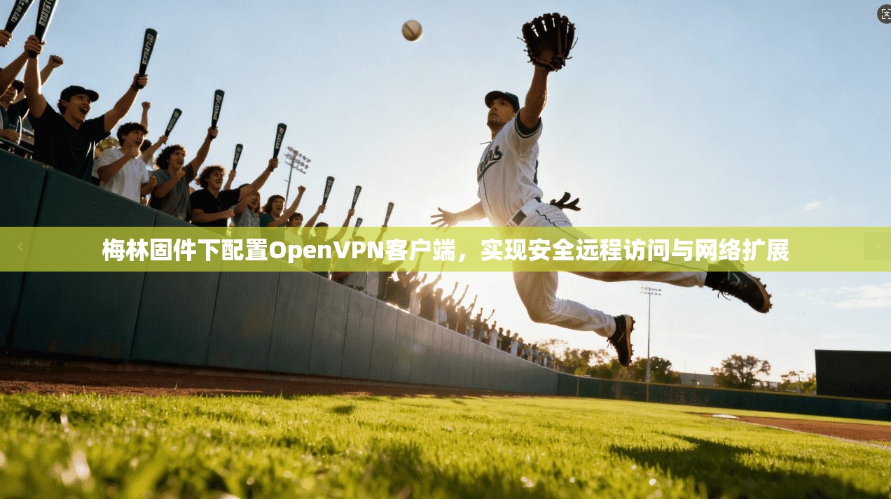 梅林固件下配置OpenVPN客户端，实现安全远程访问与网络扩展
