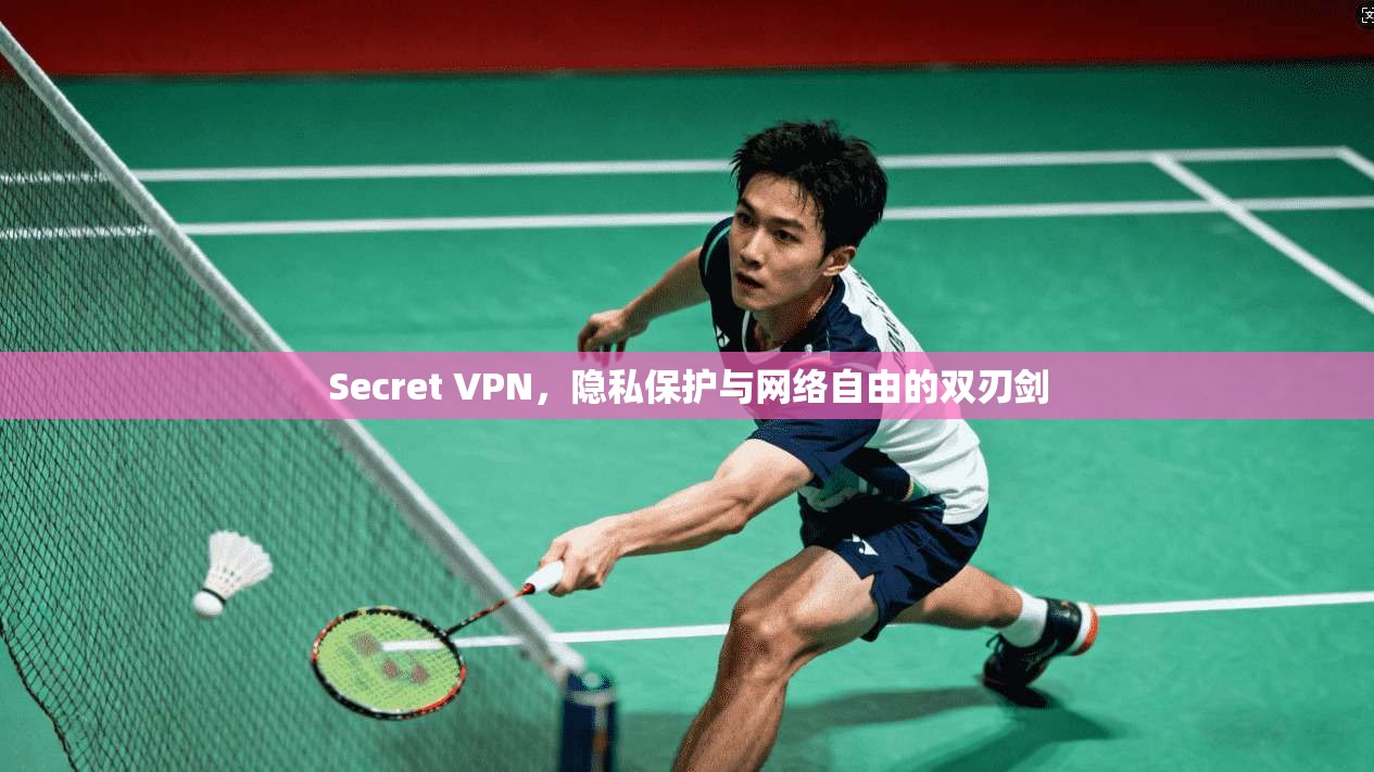 Secret VPN，隐私保护与网络自由的双刃剑