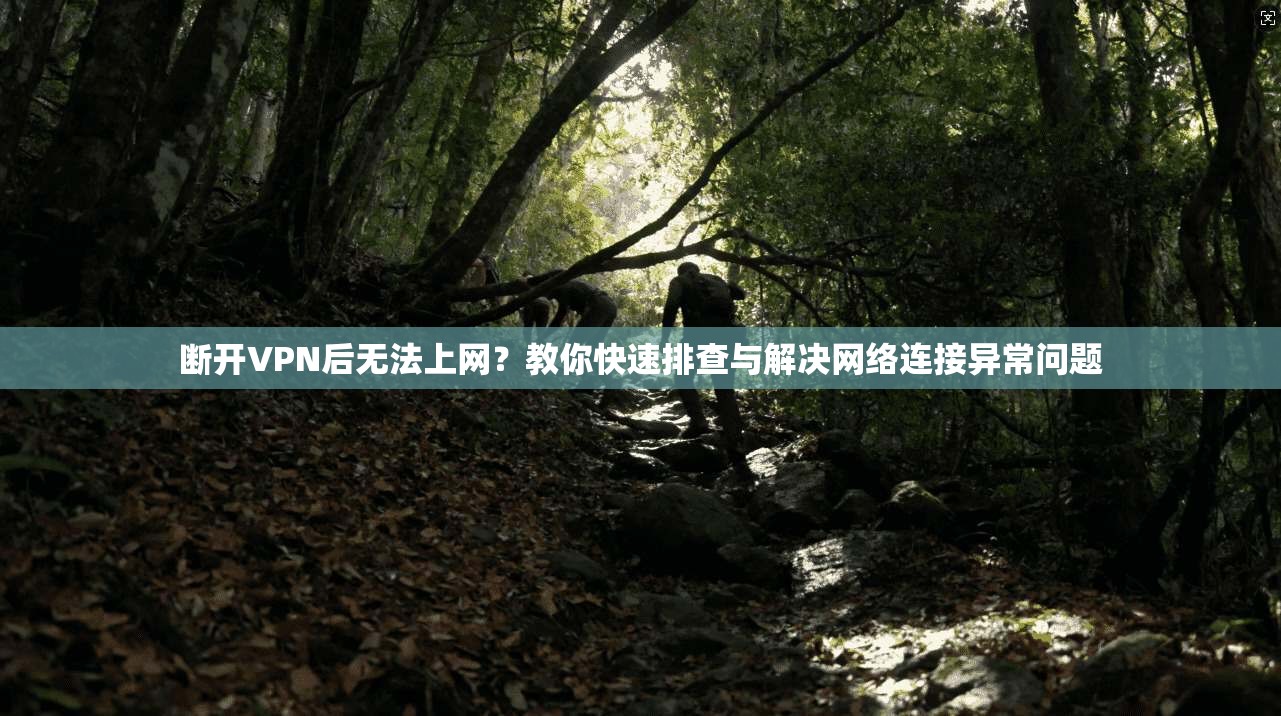 断开VPN后无法上网？教你快速排查与解决网络连接异常问题