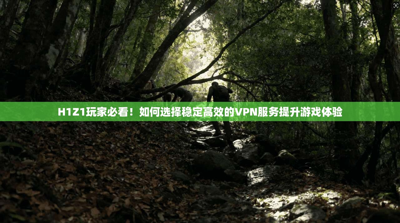 H1Z1玩家必看！如何选择稳定高效的VPN服务提升游戏体验