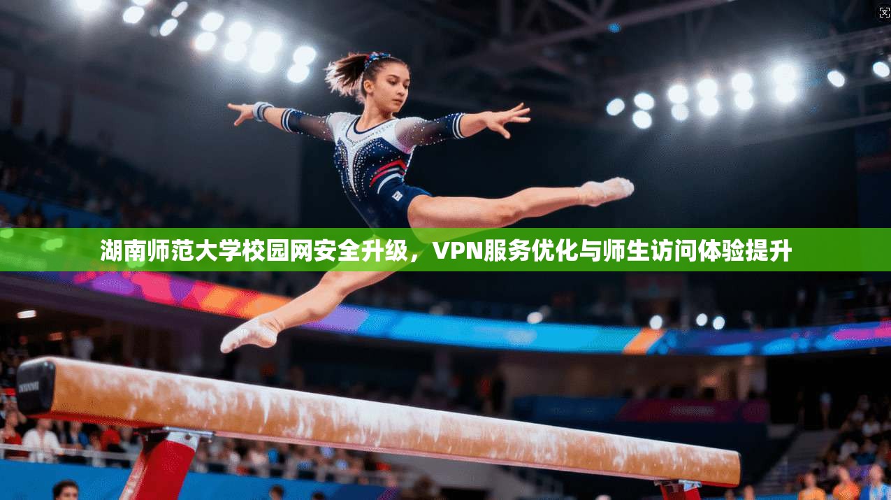湖南师范大学校园网安全升级，VPN服务优化与师生访问体验提升