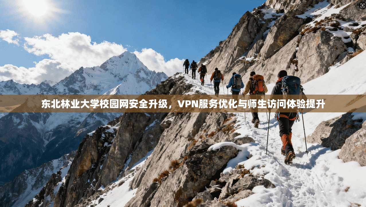 东北林业大学校园网安全升级，VPN服务优化与师生访问体验提升