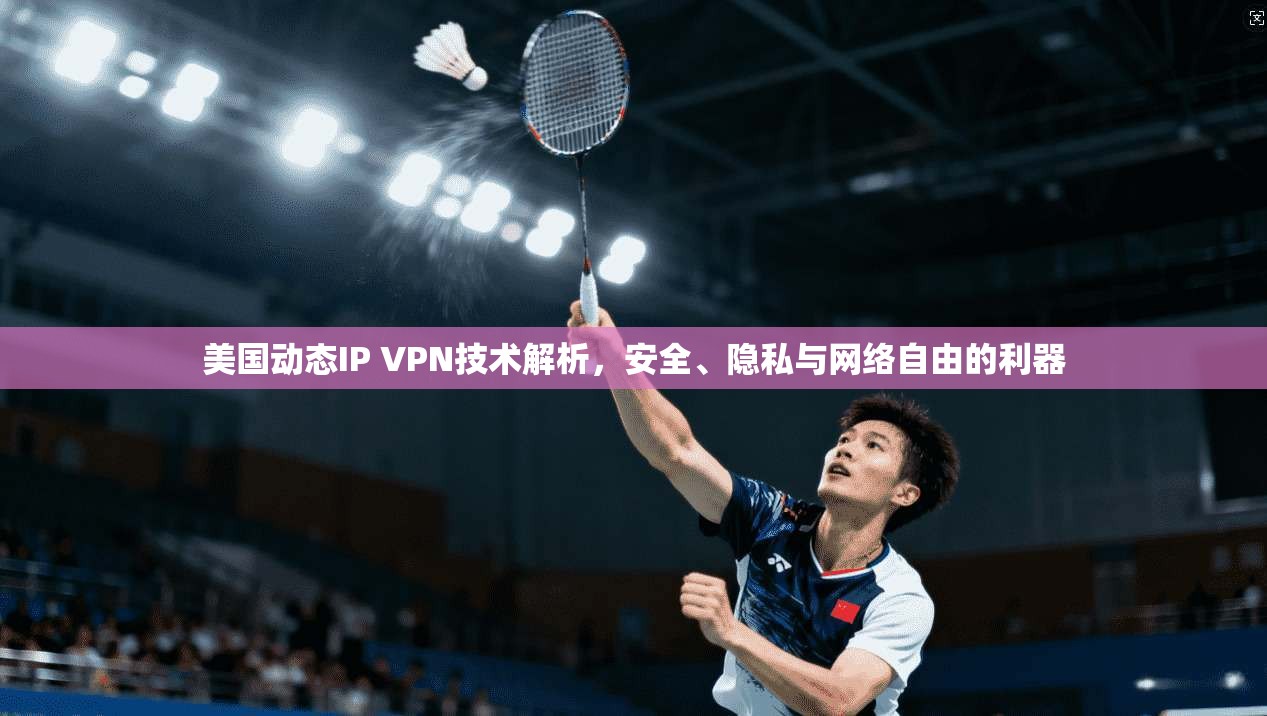 美国动态IP VPN技术解析，安全、隐私与网络自由的利器