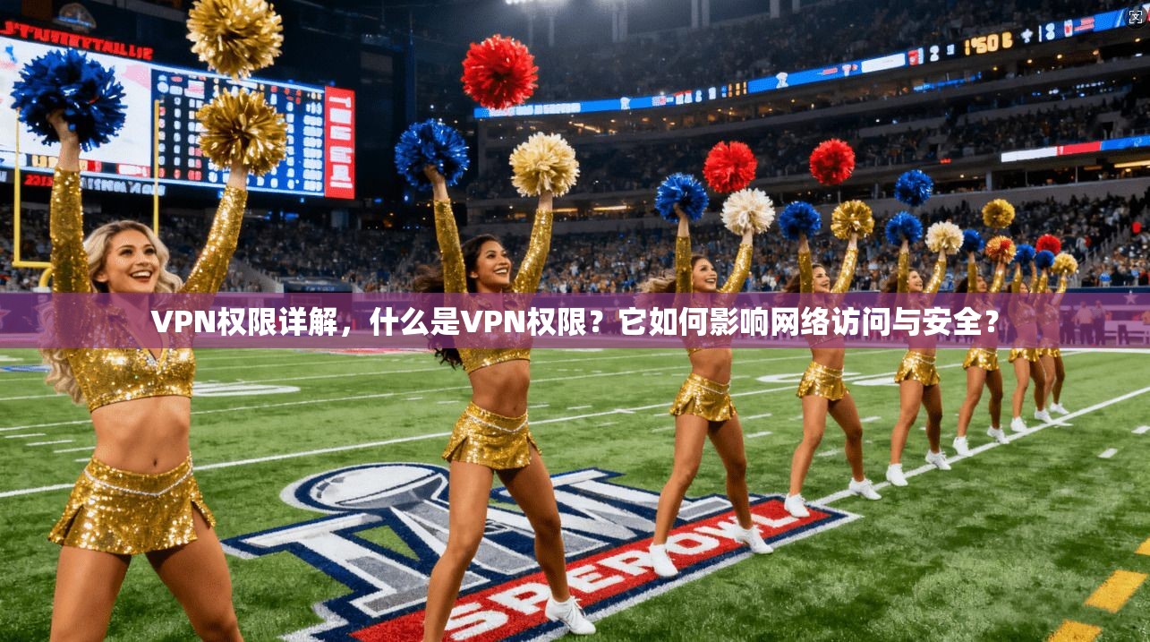 VPN权限详解，什么是VPN权限？它如何影响网络访问与安全？