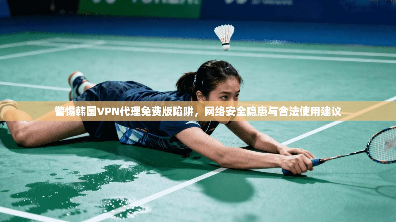 警惕韩国VPN代理免费版陷阱，网络安全隐患与合法使用建议