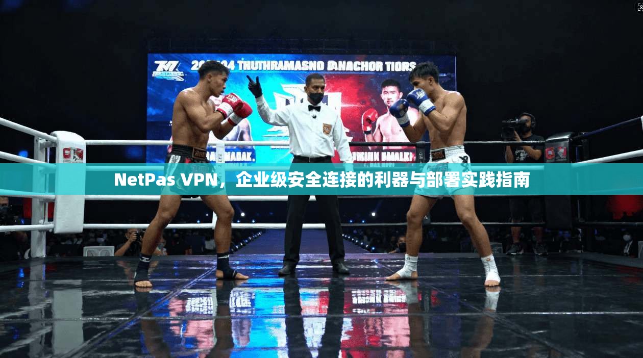 NetPas VPN，企业级安全连接的利器与部署实践指南