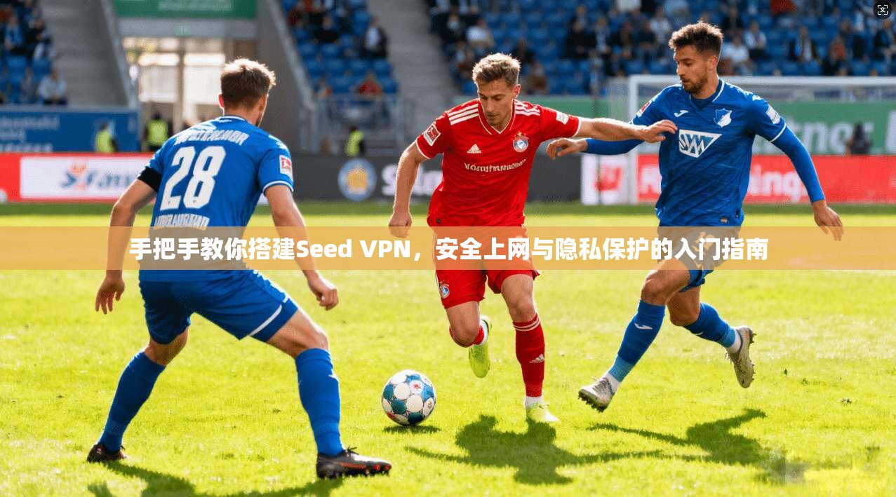 手把手教你搭建Seed VPN，安全上网与隐私保护的入门指南