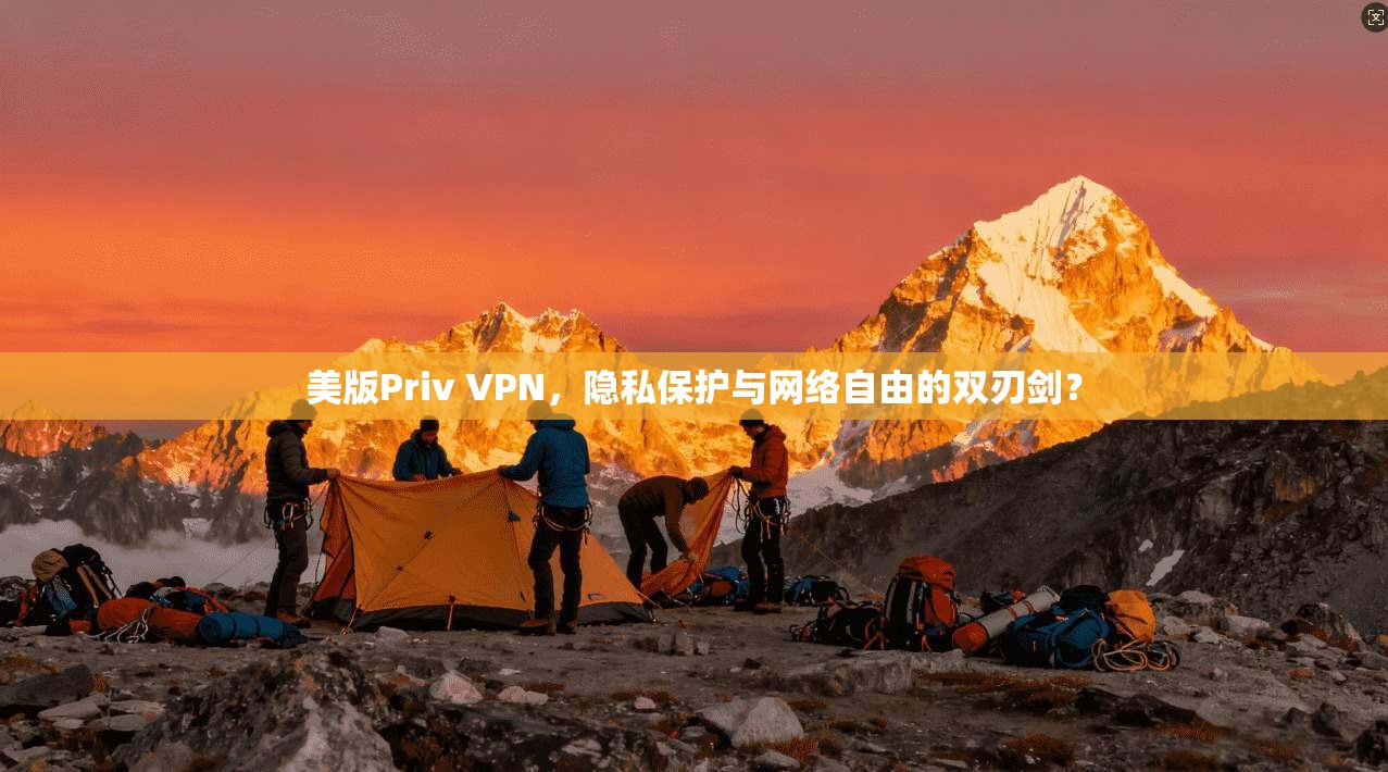 美版Priv VPN，隐私保护与网络自由的双刃剑？