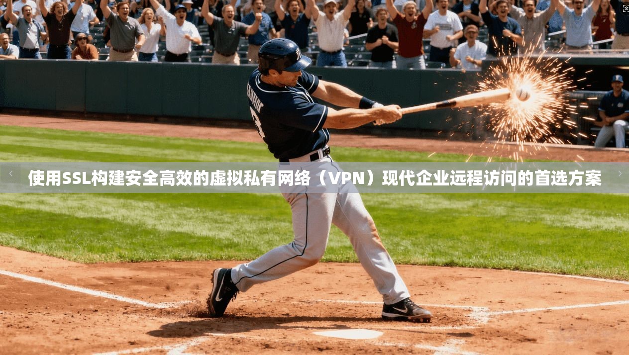 使用SSL构建安全高效的虚拟私有网络（VPN）现代企业远程访问的首选方案