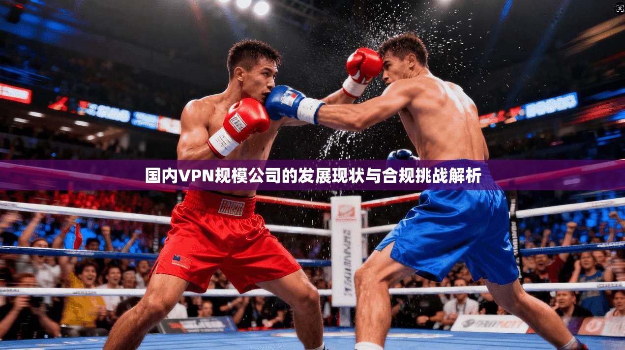 国内VPN规模公司的发展现状与合规挑战解析