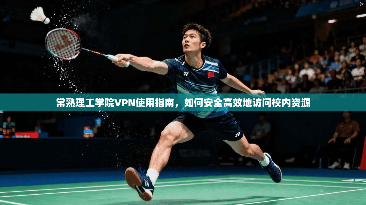常熟理工学院VPN使用指南，如何安全高效地访问校内资源