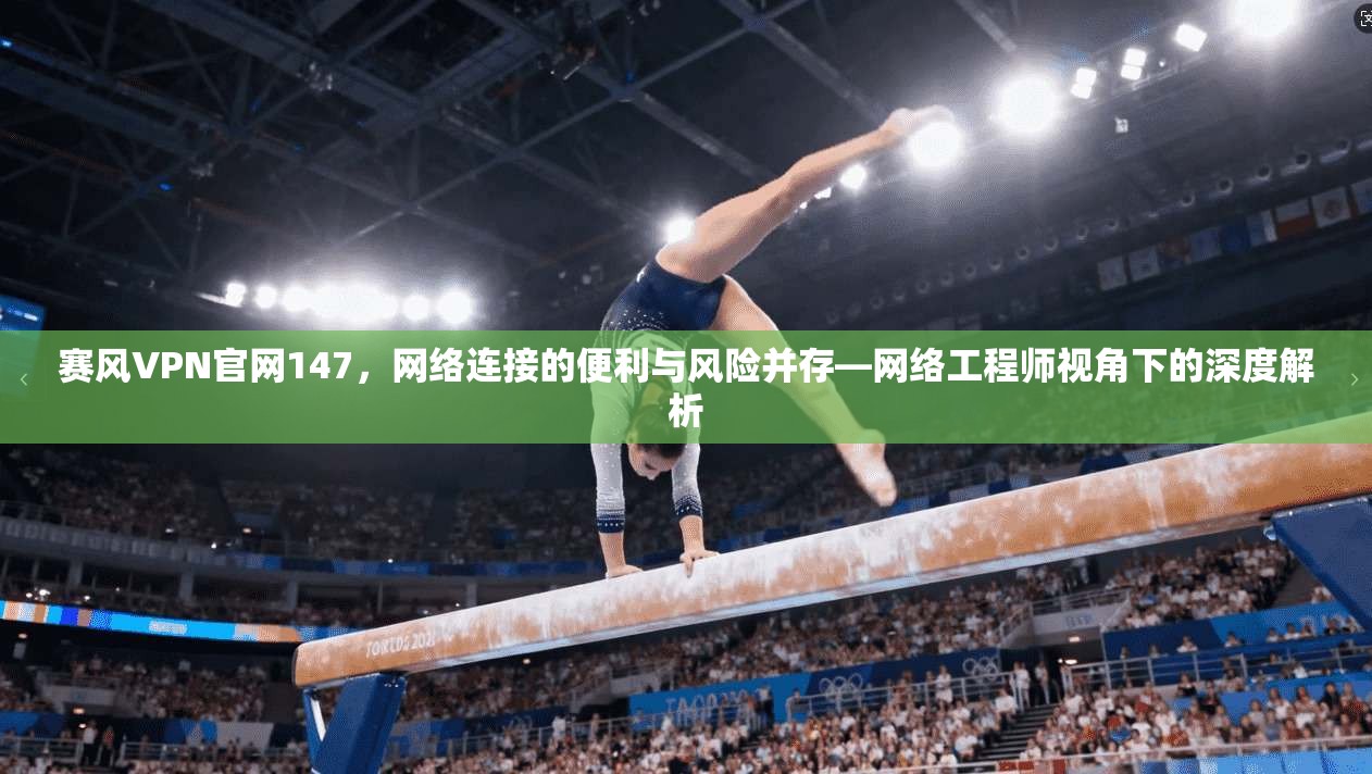 赛风VPN官网147，网络连接的便利与风险并存—网络工程师视角下的深度解析