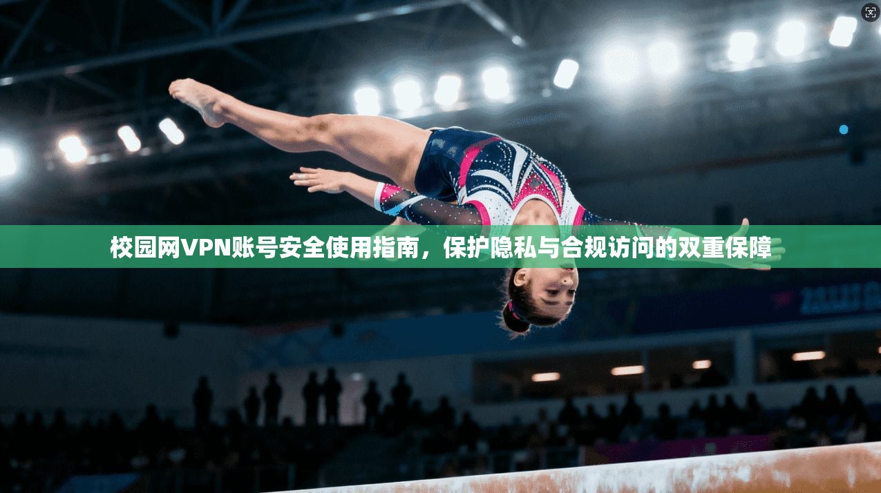 校园网VPN账号安全使用指南，保护隐私与合规访问的双重保障