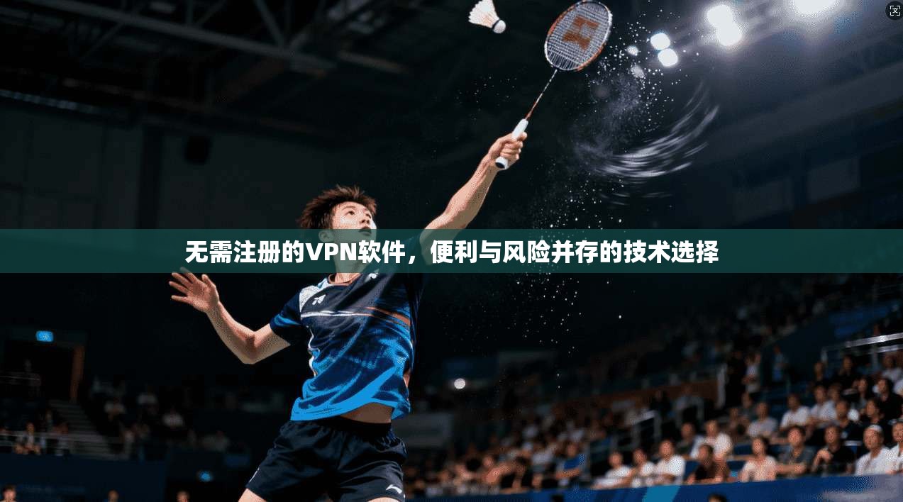 无需注册的VPN软件，便利与风险并存的技术选择