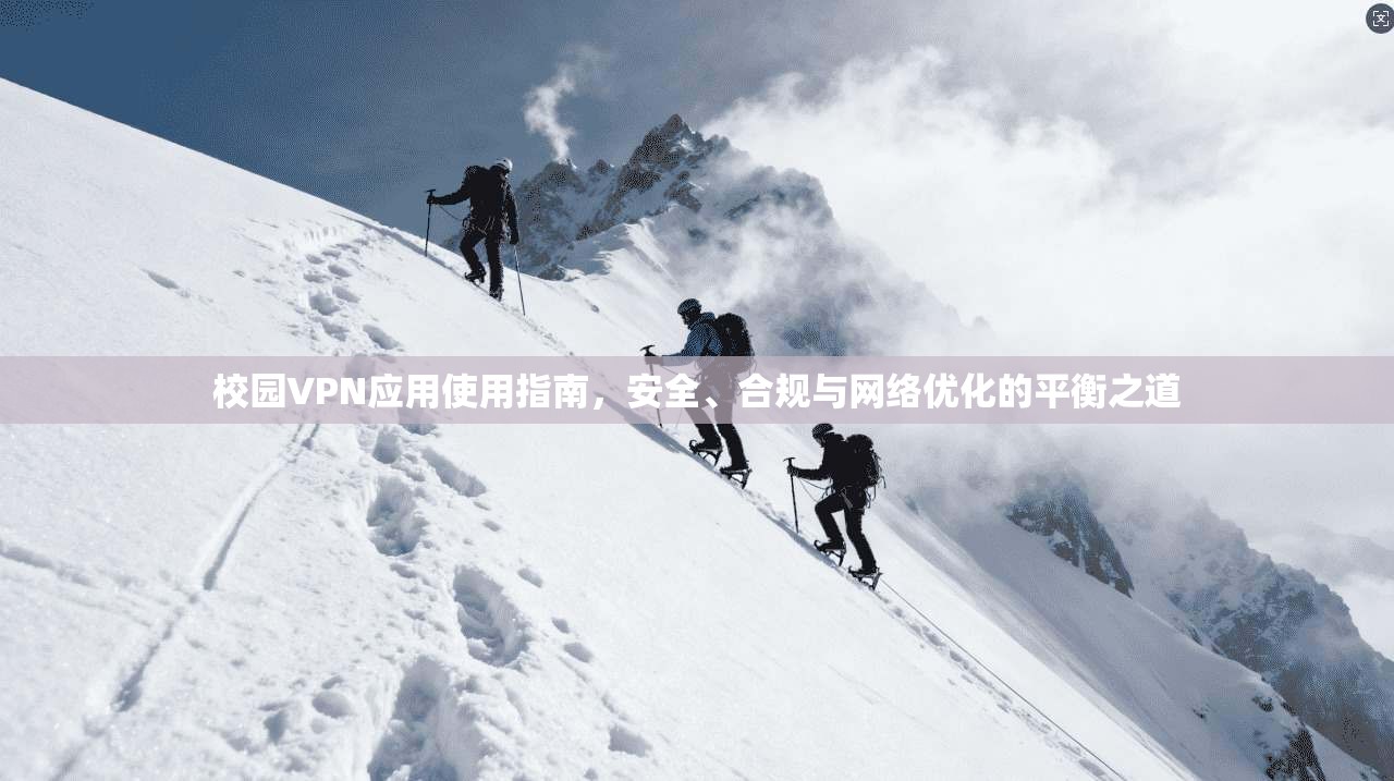 校园VPN应用使用指南,安全、合规与网络优化的平衡之道 校园VPN应用使用指南,安全、合规与网络优化的平衡之道