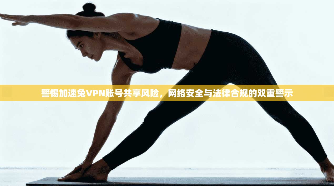 警惕加速兔VPN账号共享风险，网络安全与法律合规的双重警示