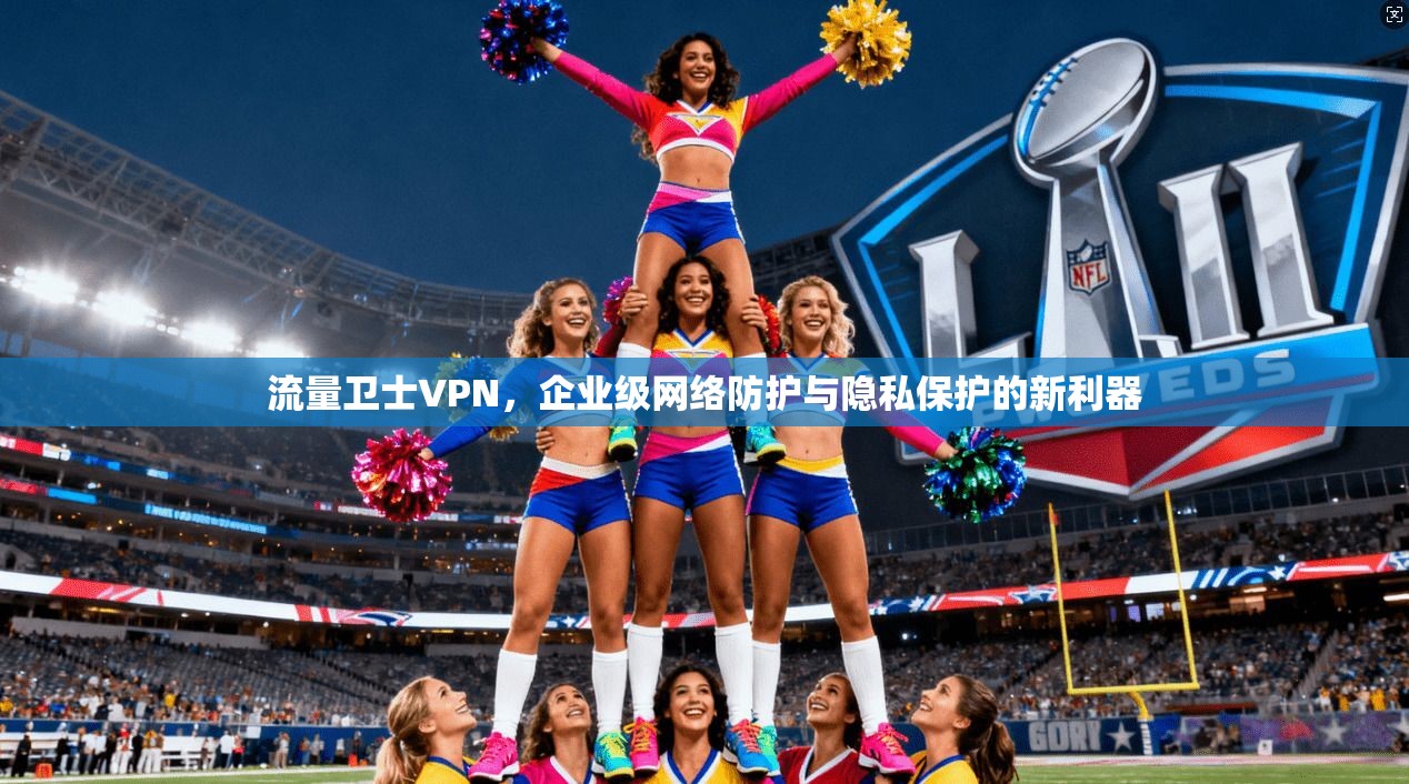 流量卫士VPN，企业级网络防护与隐私保护的新利器