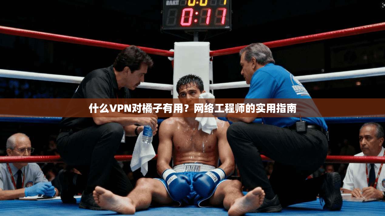 什么VPN对橘子有用？网络工程师的实用指南