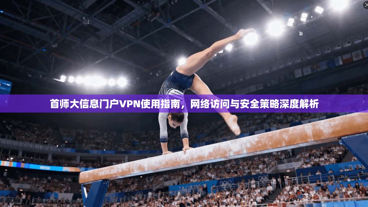 首师大信息门户VPN使用指南，网络访问与安全策略深度解析