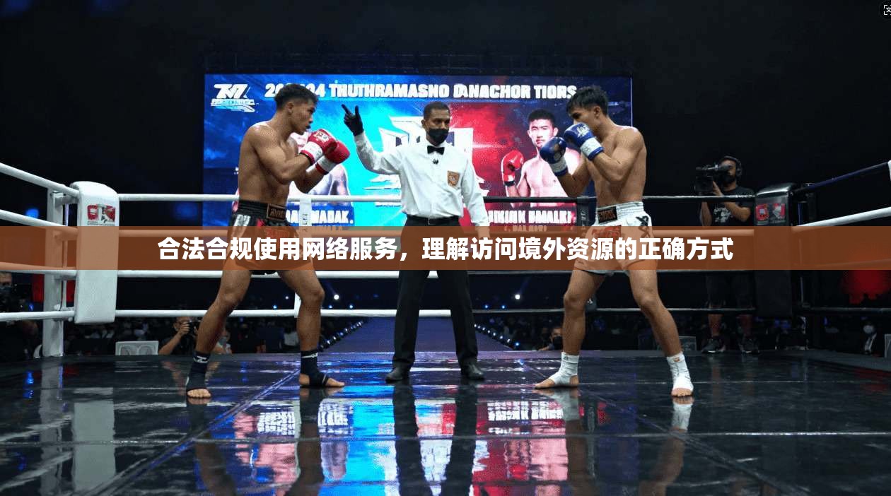合法合规使用网络服务，理解访问境外资源的正确方式
