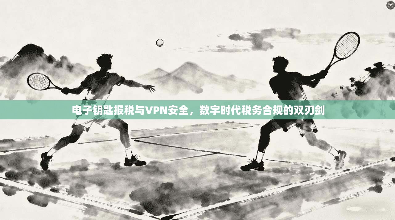 电子钥匙报税与VPN安全，数字时代税务合规的双刃剑