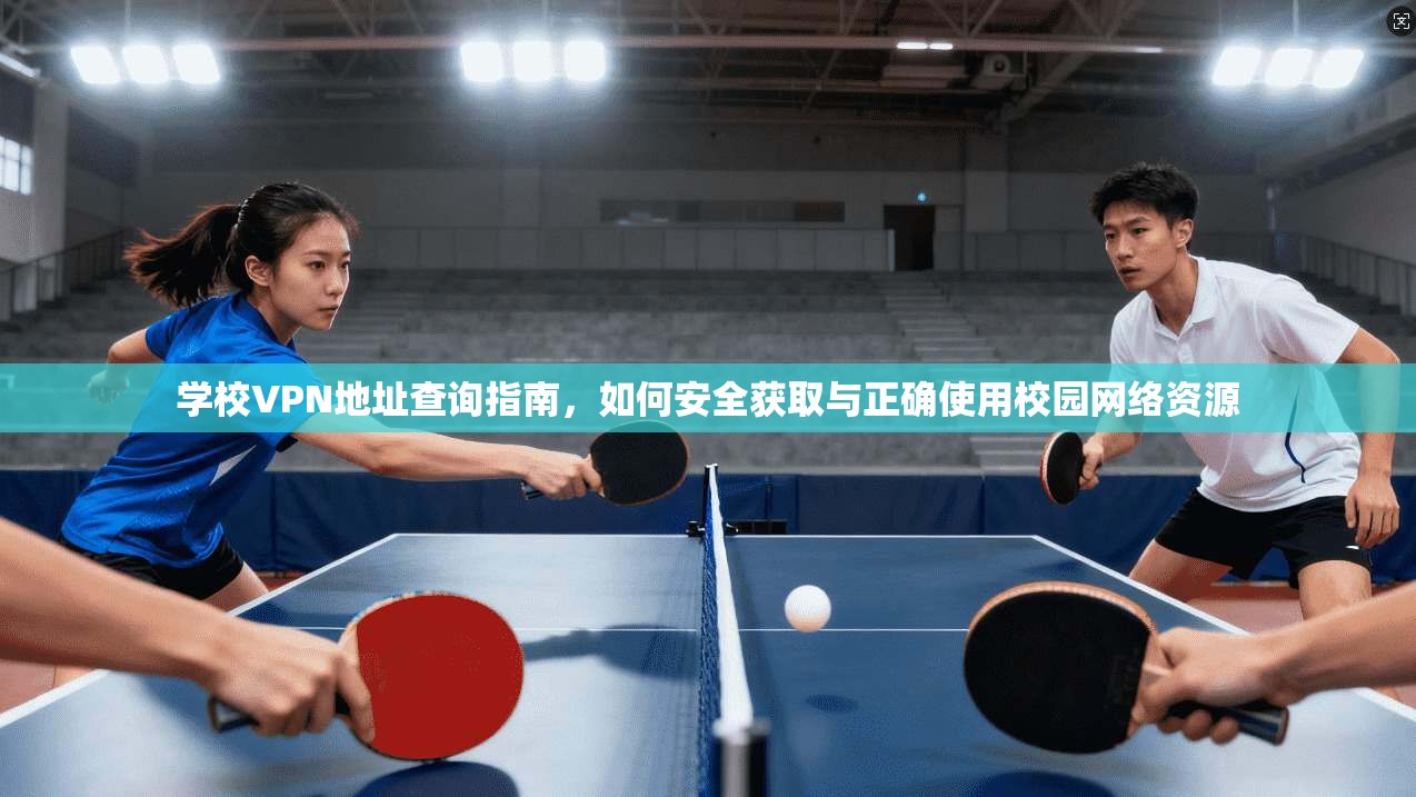 学校VPN地址查询指南，如何安全获取与正确使用校园网络资源