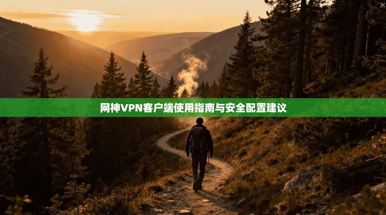 网神VPN客户端使用指南与安全配置建议