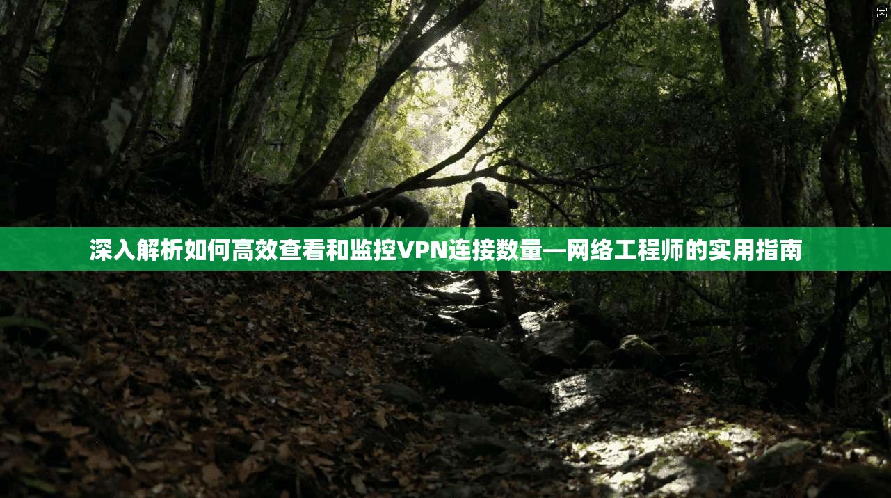深入解析如何高效查看和监控VPN连接数量—网络工程师的实用指南